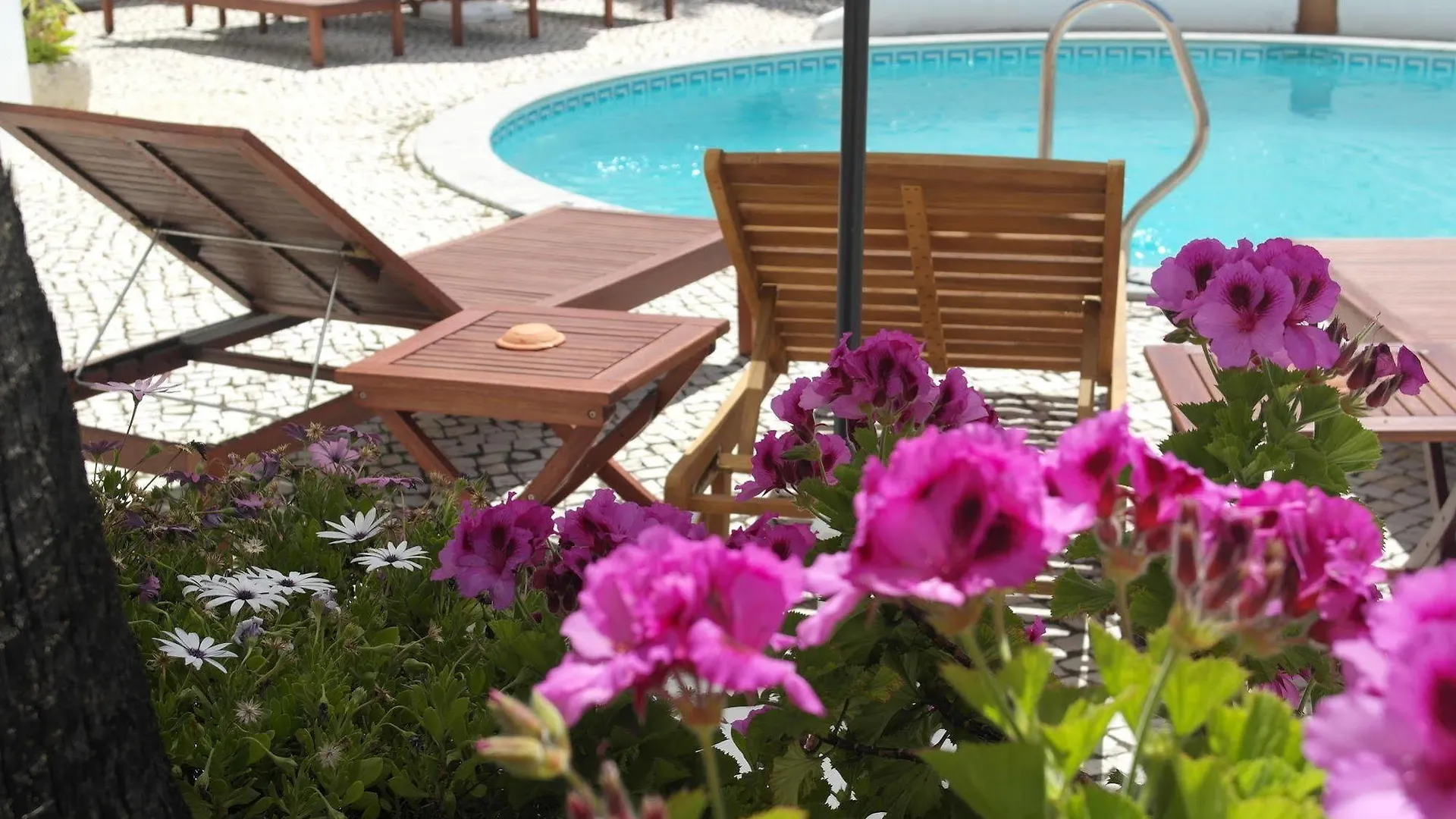 Guest house Casa De Estoi Hotel